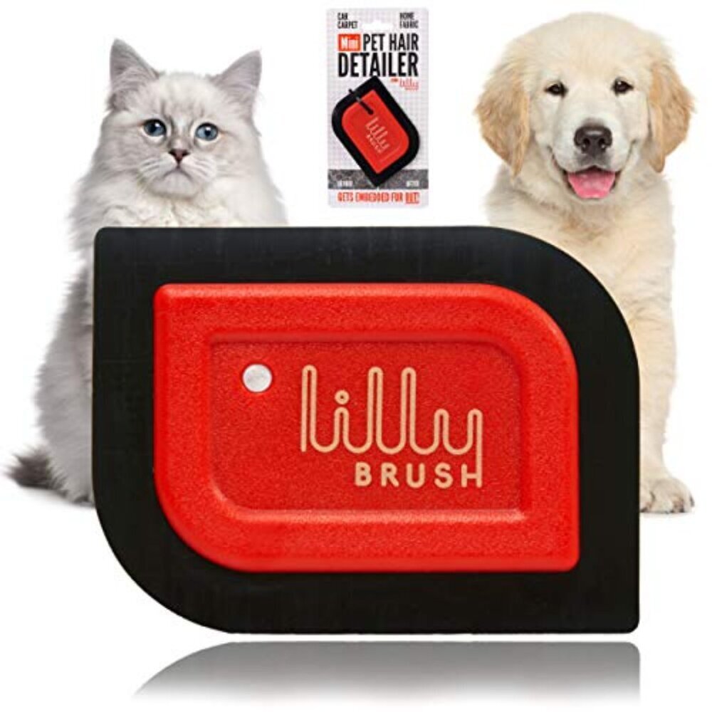 Mini Pet Hair Detailer Reusable Fur Remover Car Interior Carpet Furniture View 2